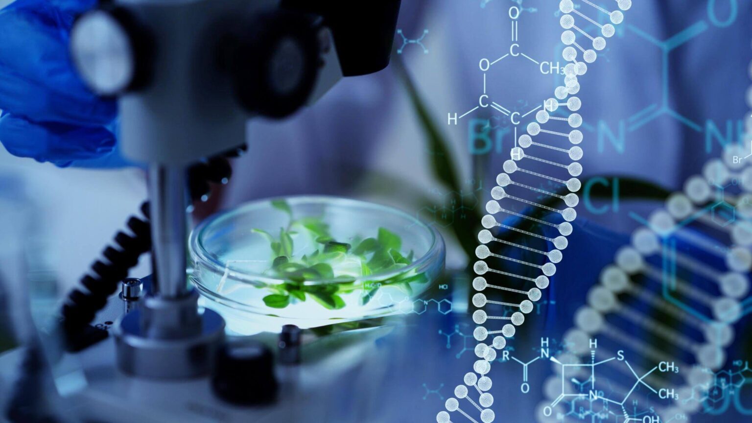 Mergers, Acquisitions, and Reverse Mergers: Smart Pathways for Biotech ...